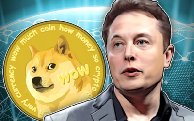 Criptovalute e Elon Musk, storie simili di utenti che ci credono davvero